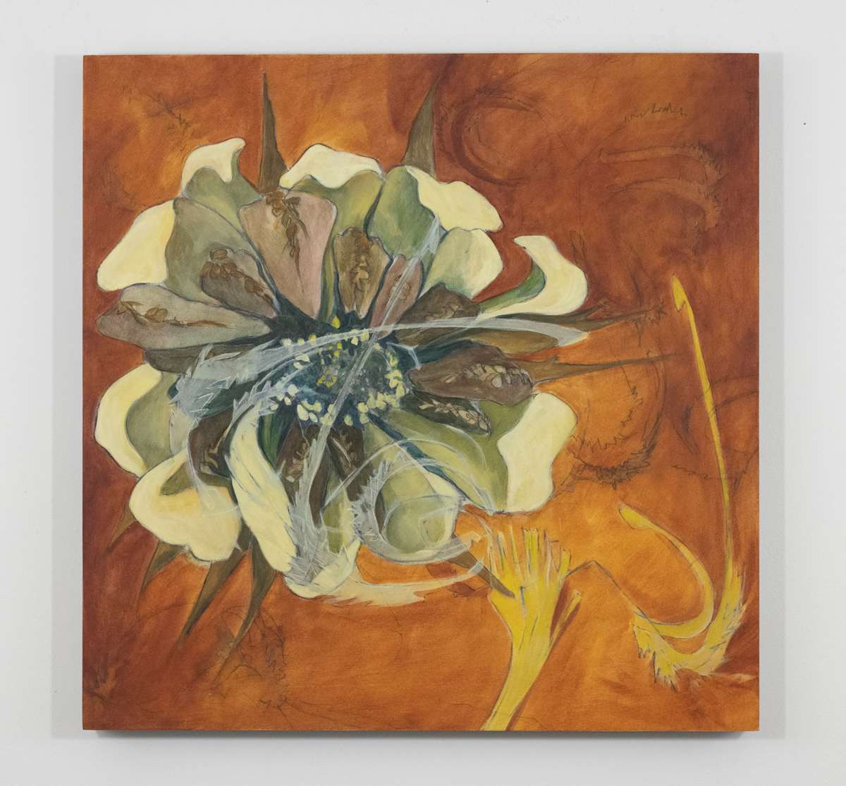 Calendula Reveals Her Armor by Darwin Nordin 