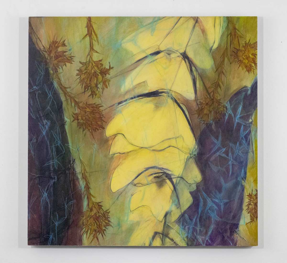 Cone Slumber by Darwin Nordin 