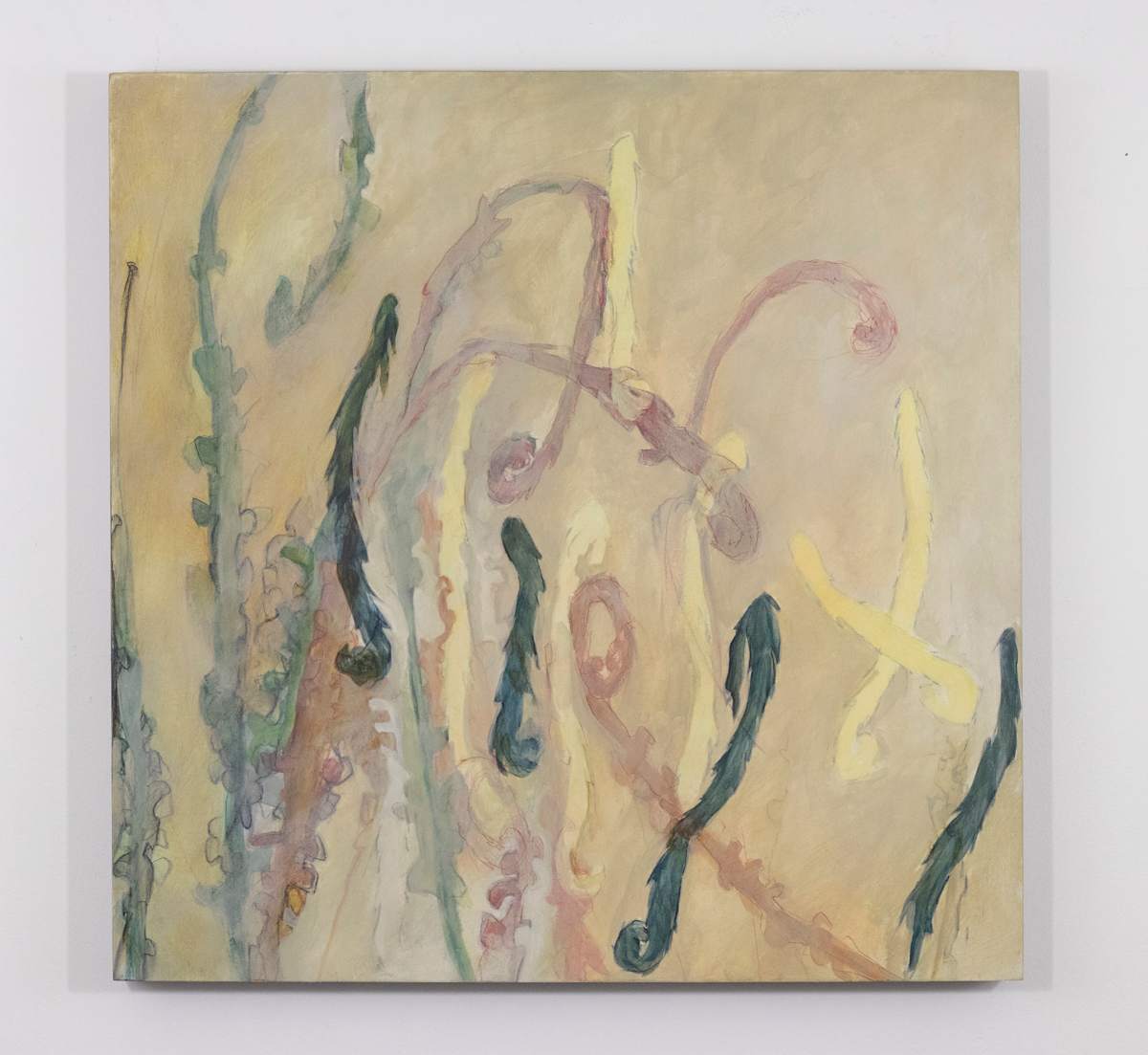 Fern Script by Darwin Nordin 