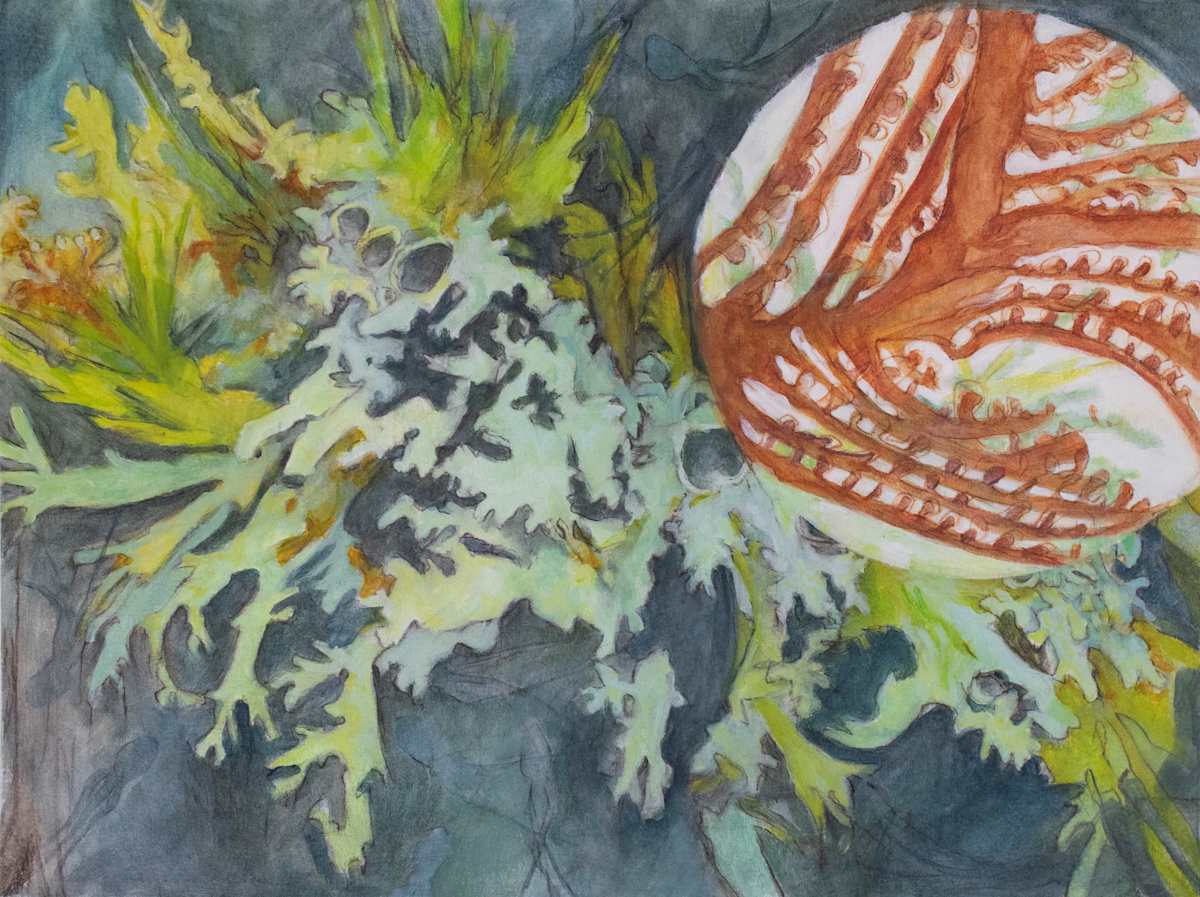Forest Repose Interval 11 by Darwin Nordin, Image 1.
