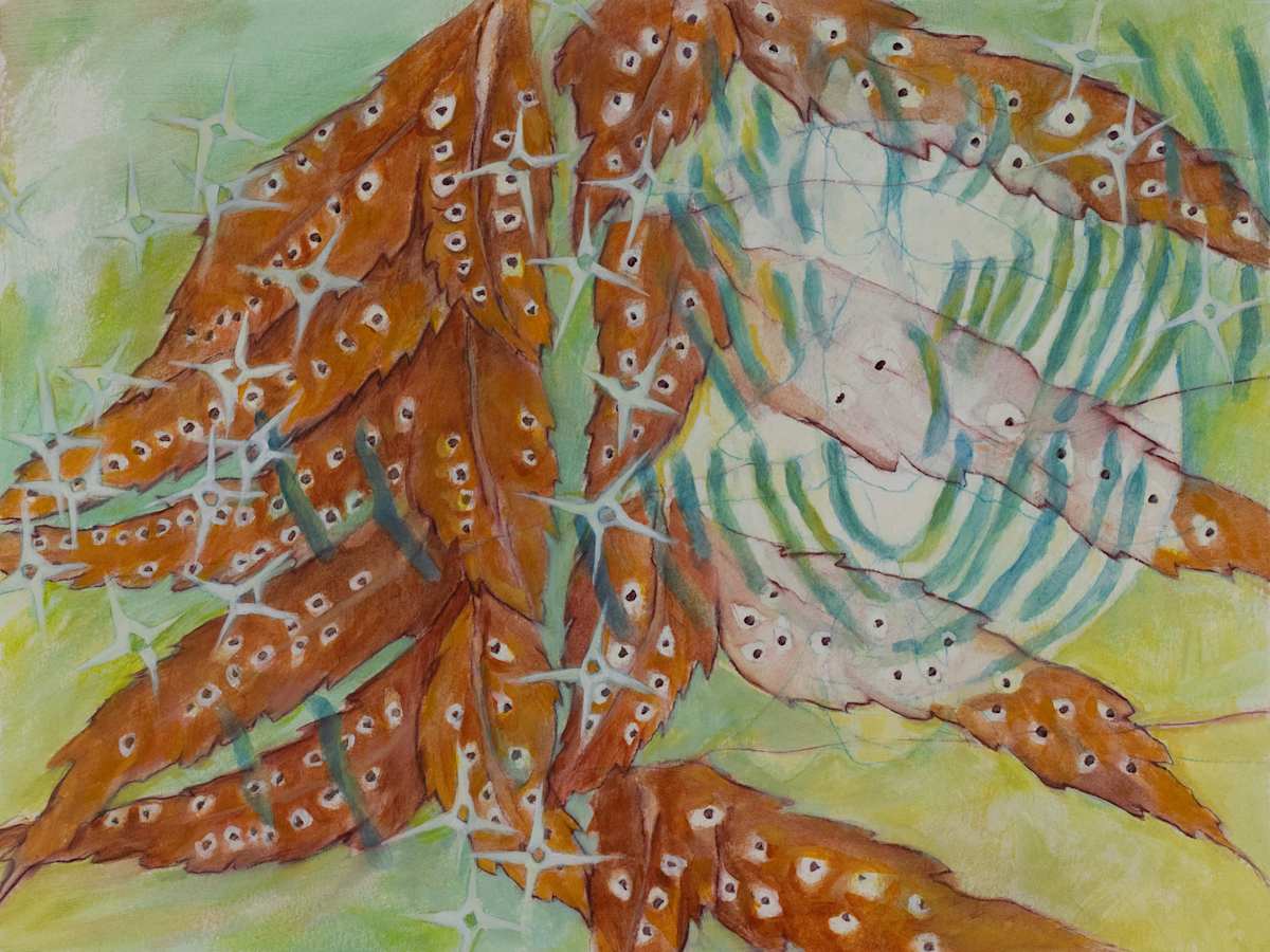 Forest Repose Interval 22 by Darwin Nordin 