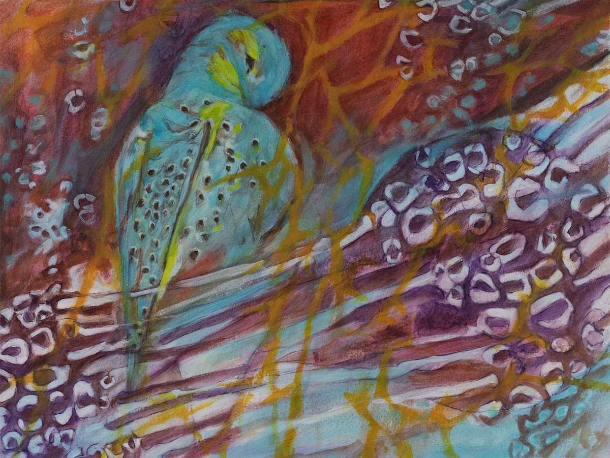 Forest Repose Interval 24 by Darwin Nordin 