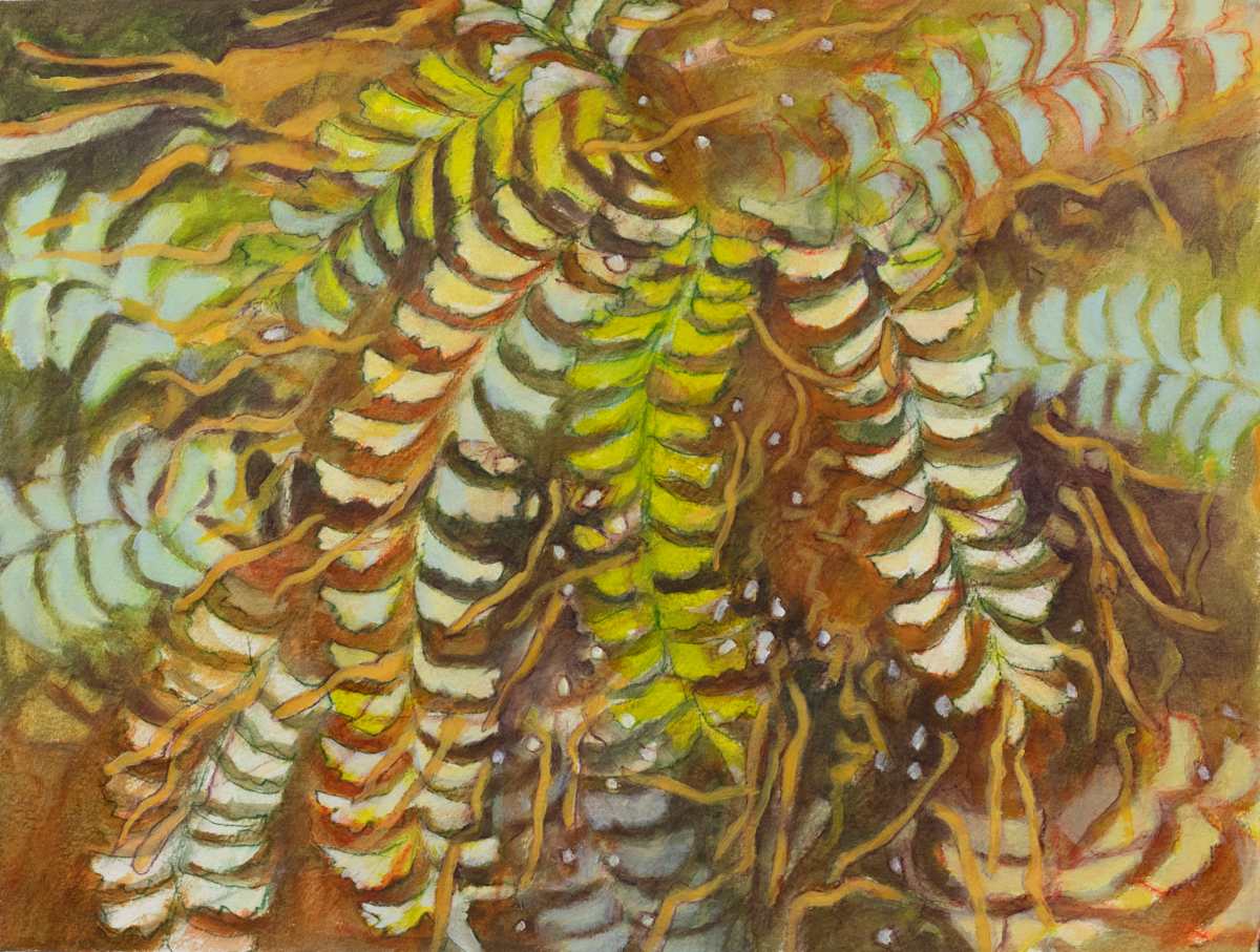 Forest Repose Interval 26 by Darwin Nordin, Image 1.