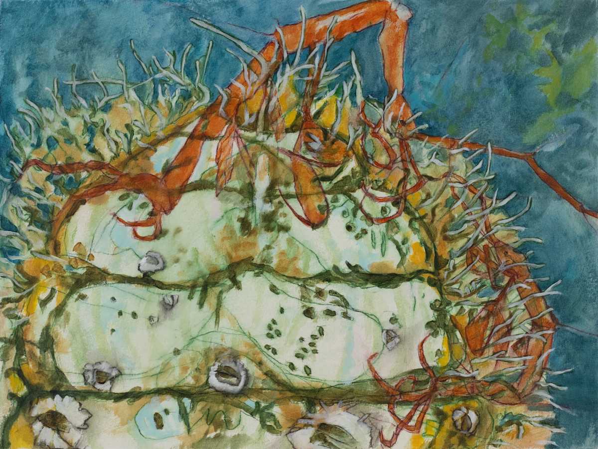 Intertidal Repose Interval 29 by Darwin Nordin 