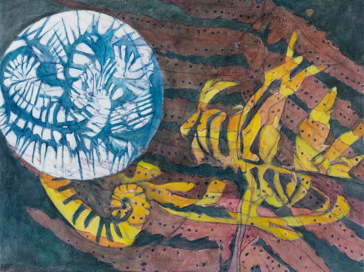 Forest Repose Interval 8 by Darwin Nordin 