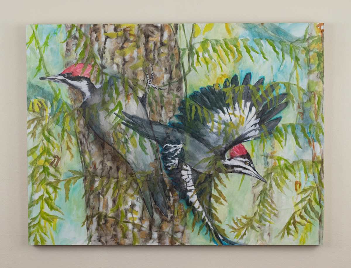 Loud Redhead by Darwin Nordin 