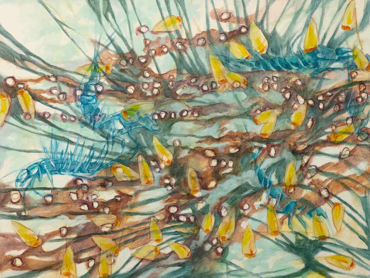 Riparian Repose Interval 8 by Darwin Nordin 