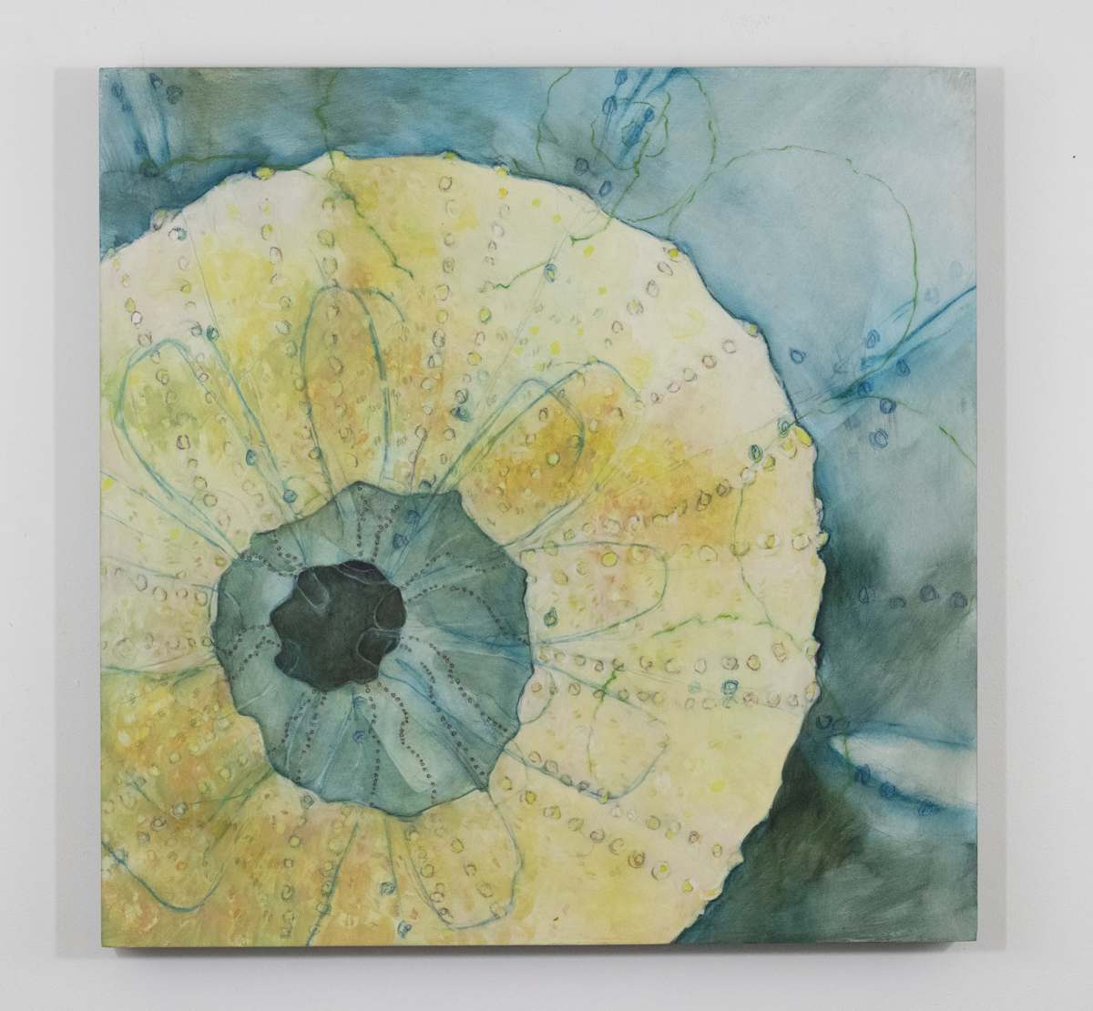 Urchin Lens by Darwin Nordin 