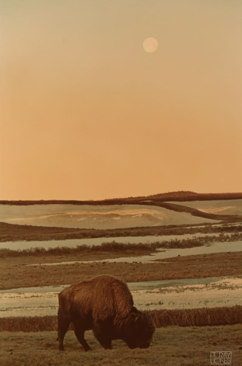 Yellowstone Dawning by T. Ray Jones, Image 1.