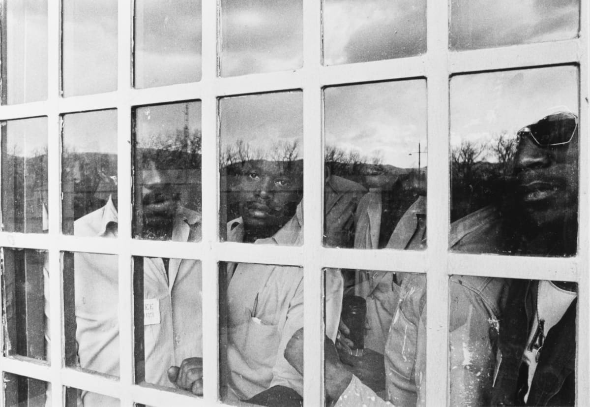 Inmates by Charles McNamara 
