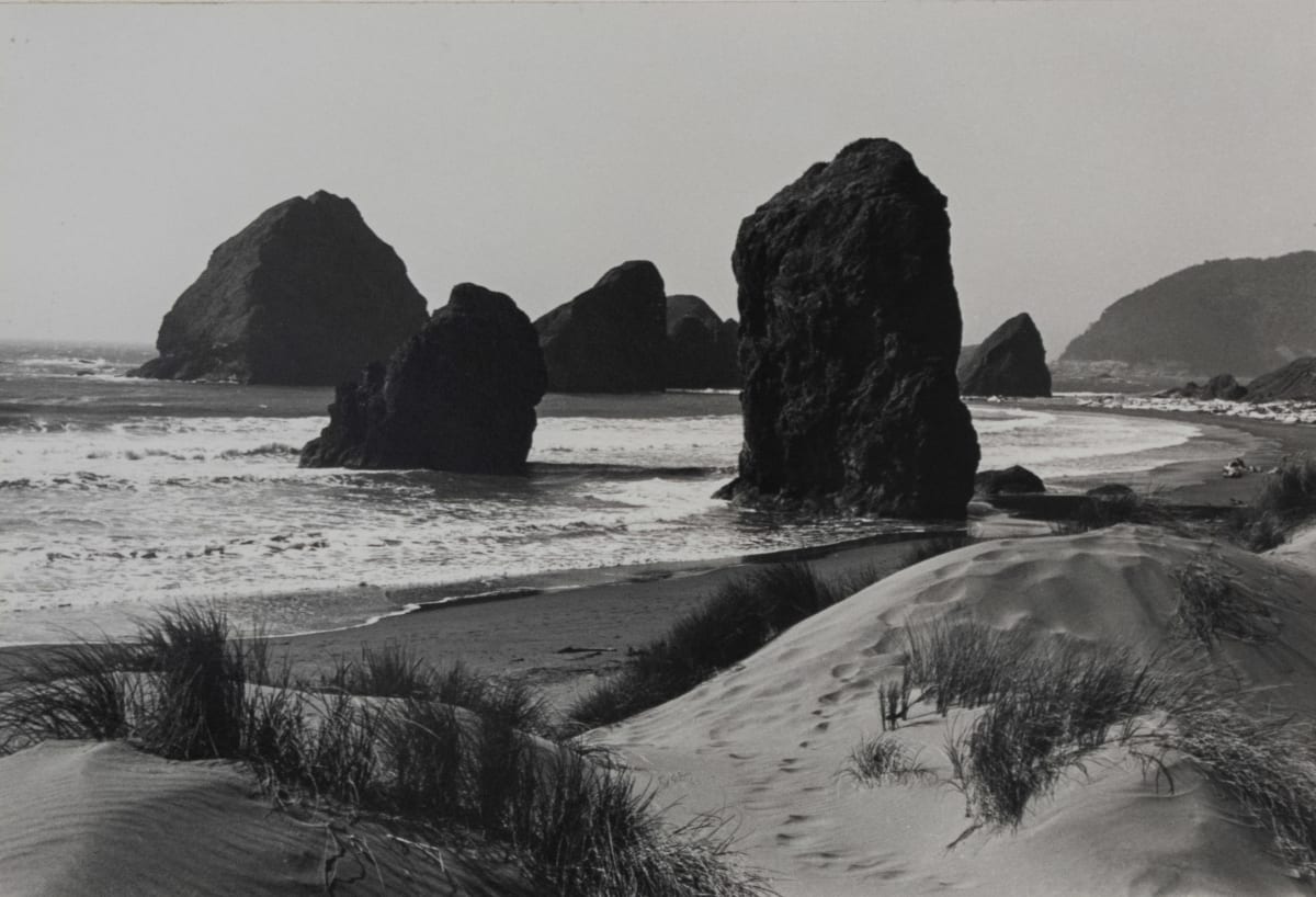 Oregon Coast by Richard J. Burtzlaff 