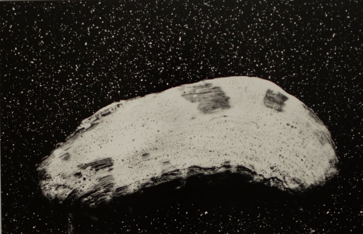 Driftwood on Black Sands by Steven Hayes, Image 1.