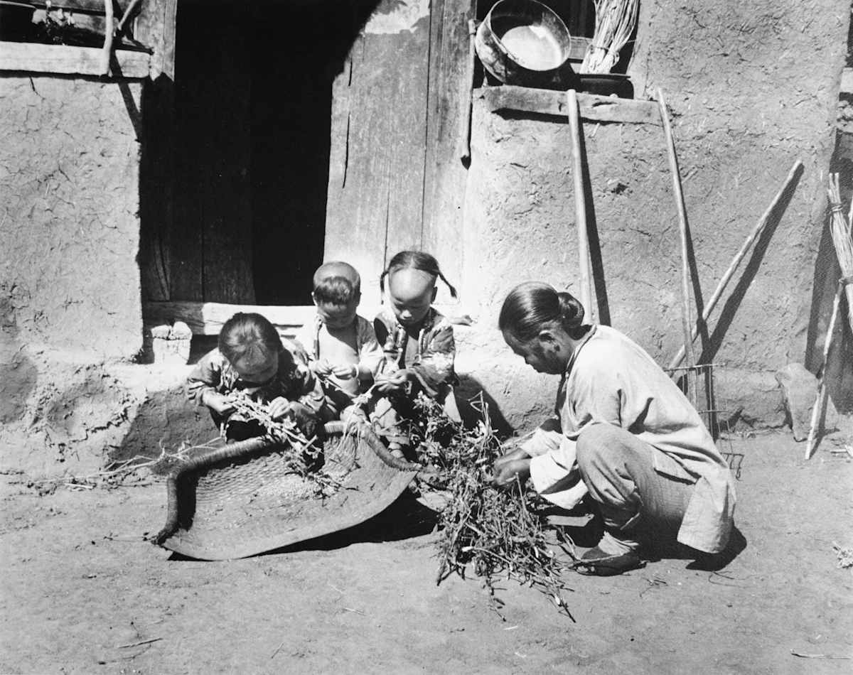 Jehol Family by M.D May, Image 1.