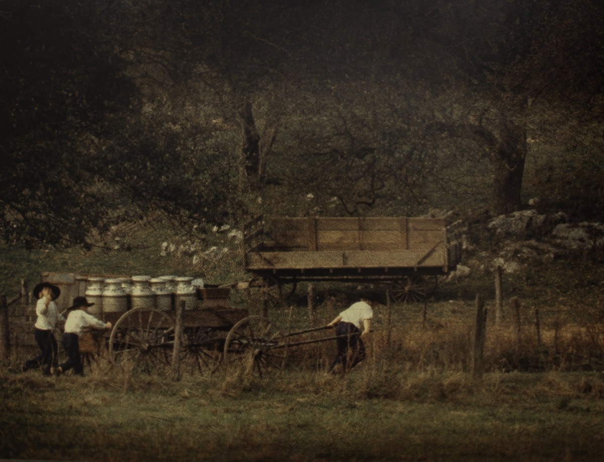 Farm Chore by Rowan P. Smolcha 