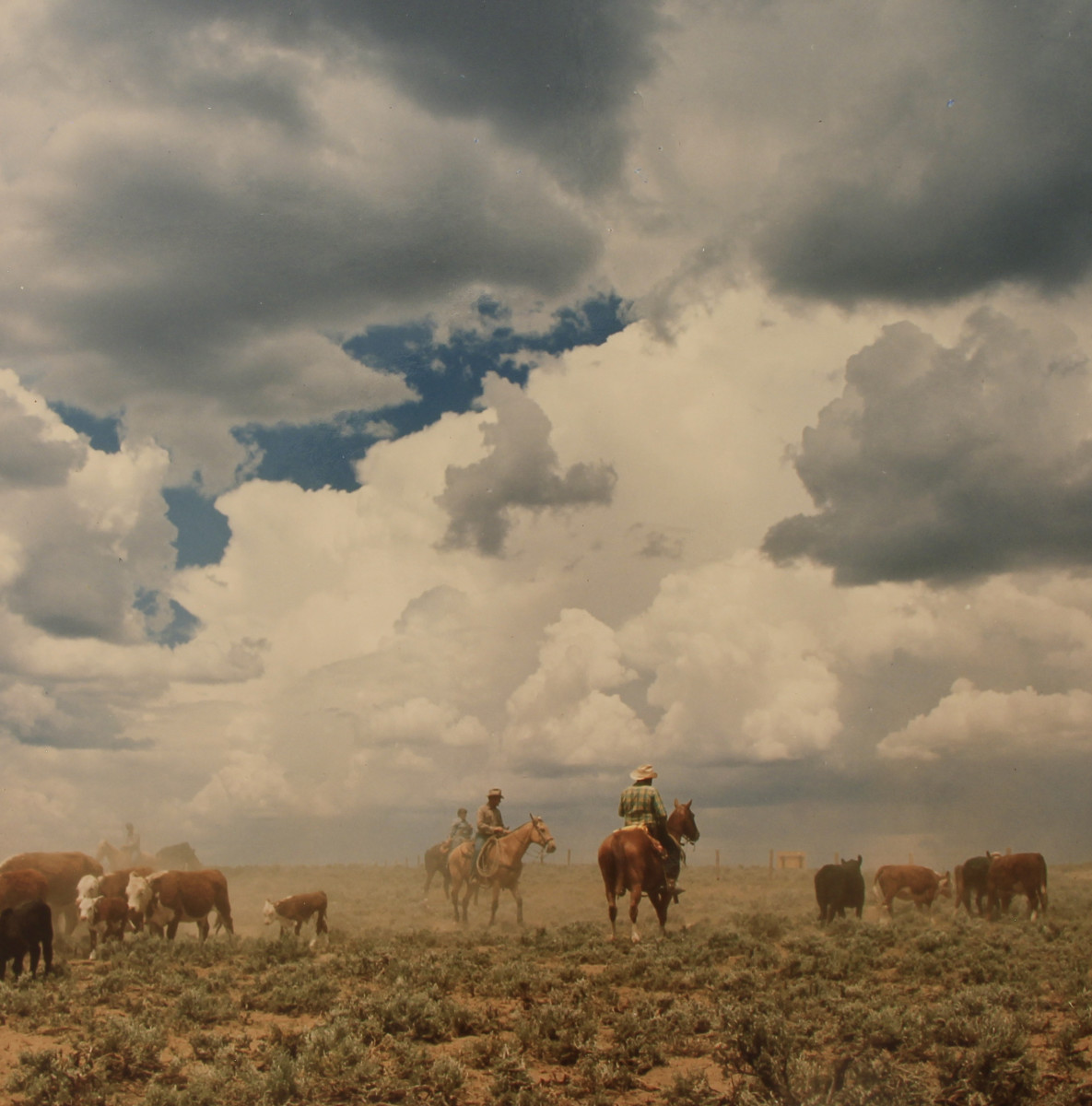 The Roundup by Marshall H. Cohen 