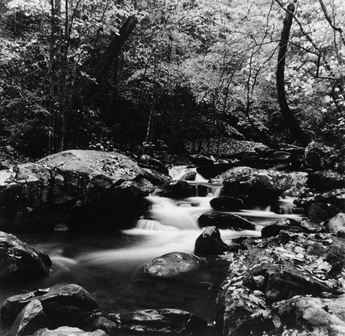 Stream of Light by Hamilton C. Cosby, Image 1.