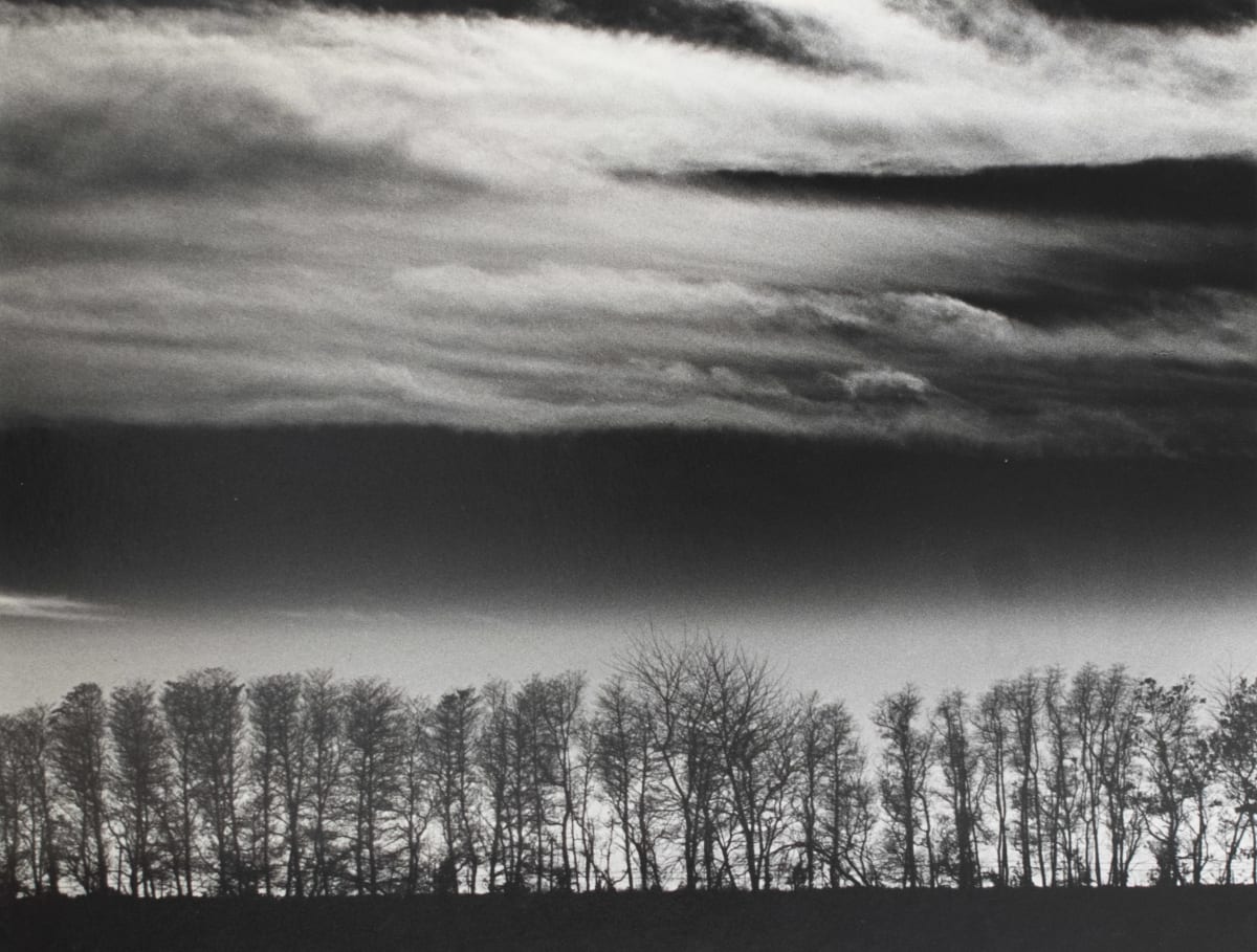 Trees and Clouds, N.Y by Stanley Kaufman 