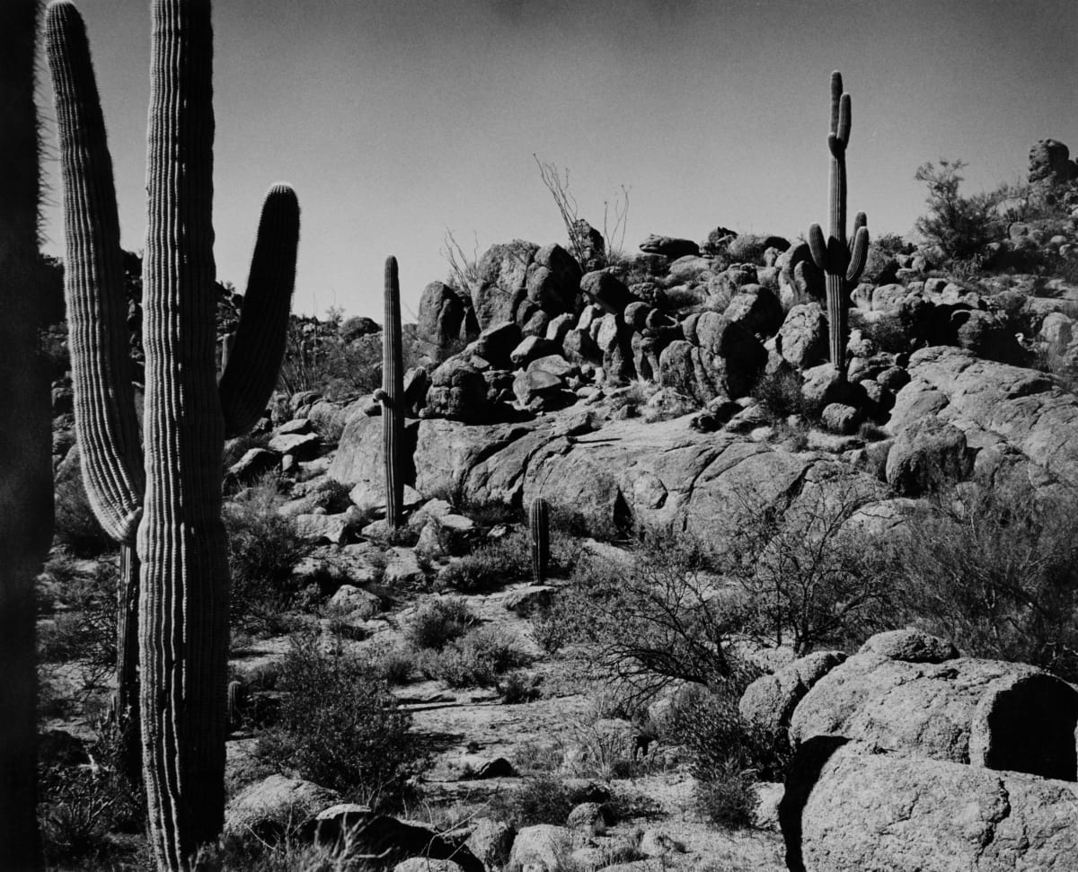 Arizona, U.S.A by Rush J. McCoy 