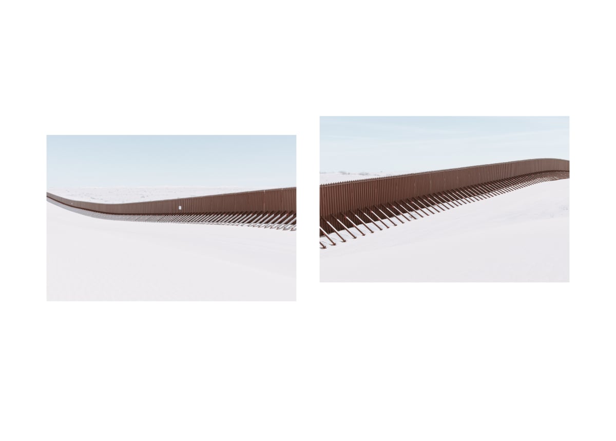 Sand Dragon, Diptych by Elliot Ross 