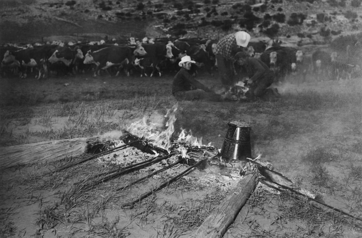 Branding by Hal Gould 