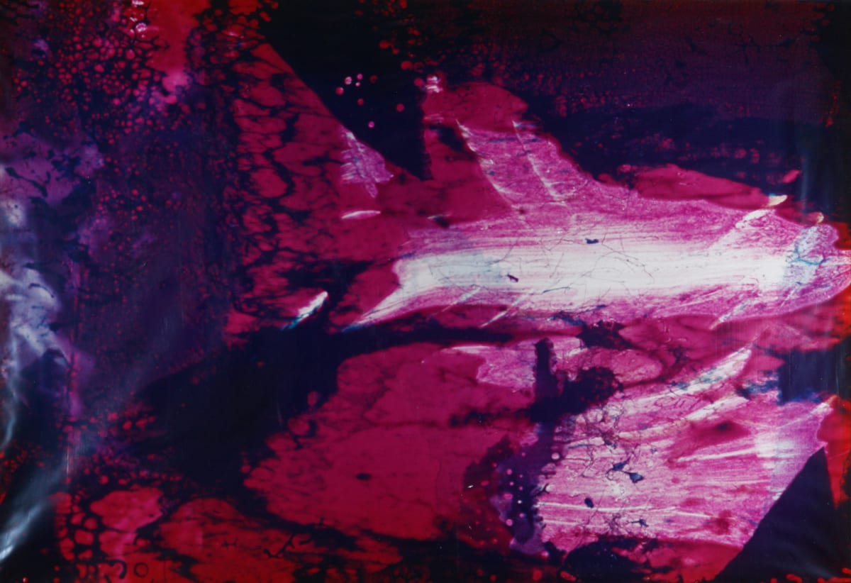 Photo Genesis #41 by Dick Nosbisch 