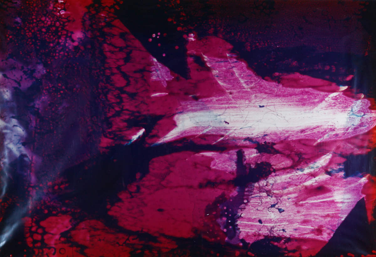 Photo Genesis #41 by Dick Nosbisch, Image 1.