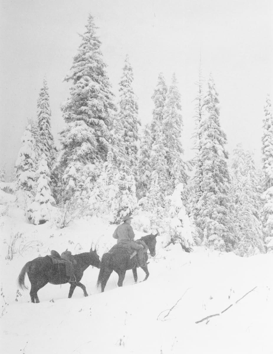 The Snowy Trail by Chas E. Grover 