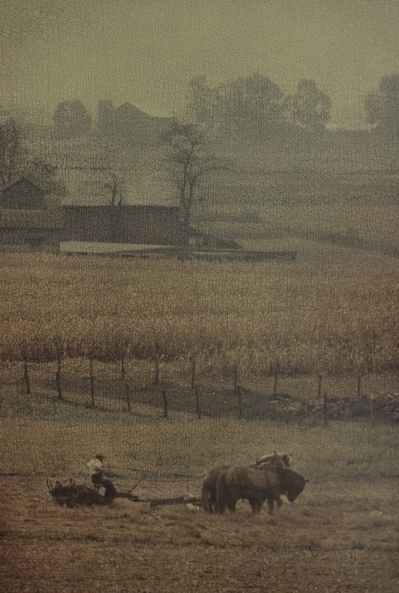 Amish Harvest by Rowan P. Smolcha 