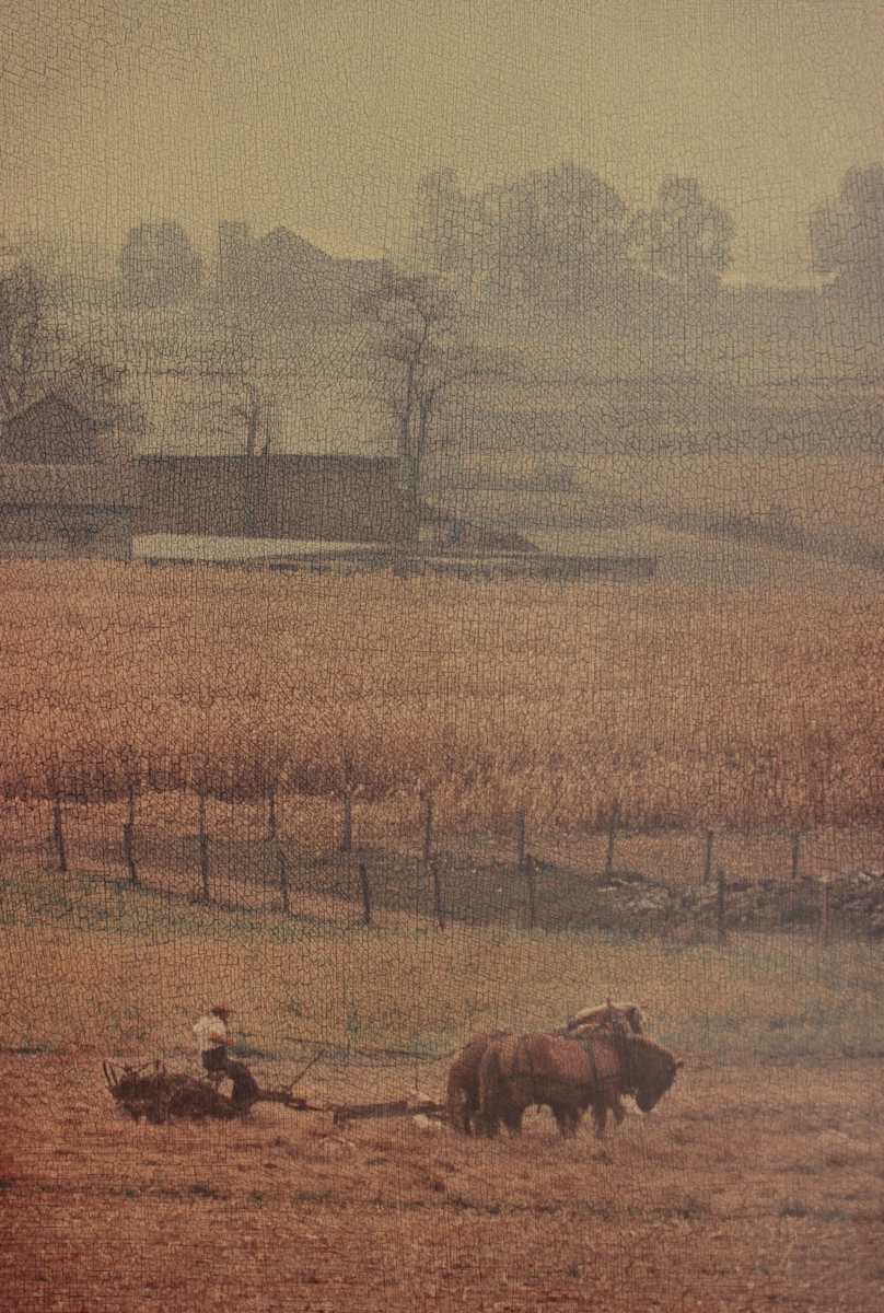 Amish Harvest by Rowan P. Smolcha, Image 1.