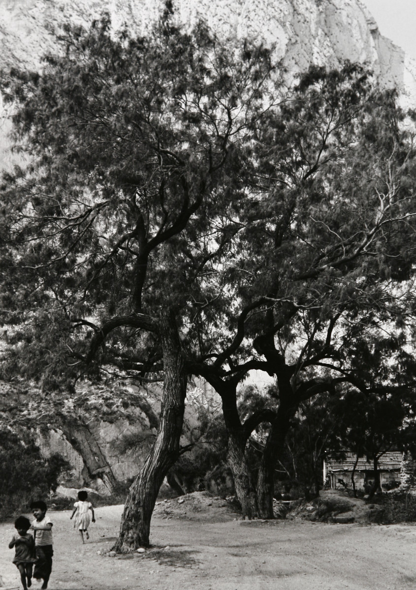 Canyon Near Monterrey, Mexico, April 1967 by Edward R. Miller  Image: Three Mexican children playing in wooded area with old shack to the right