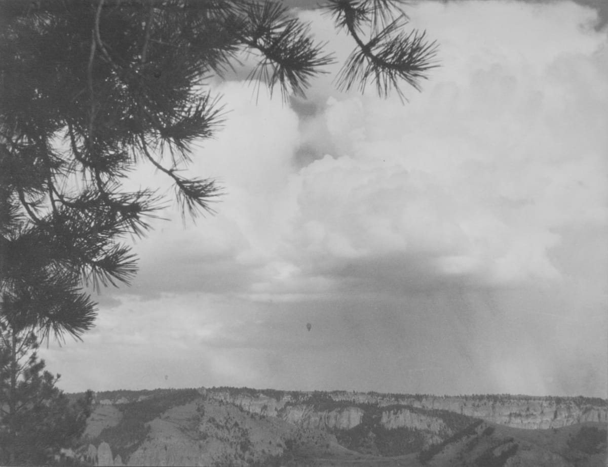 Shower on the Mesa by R. Ewing Stiffler 