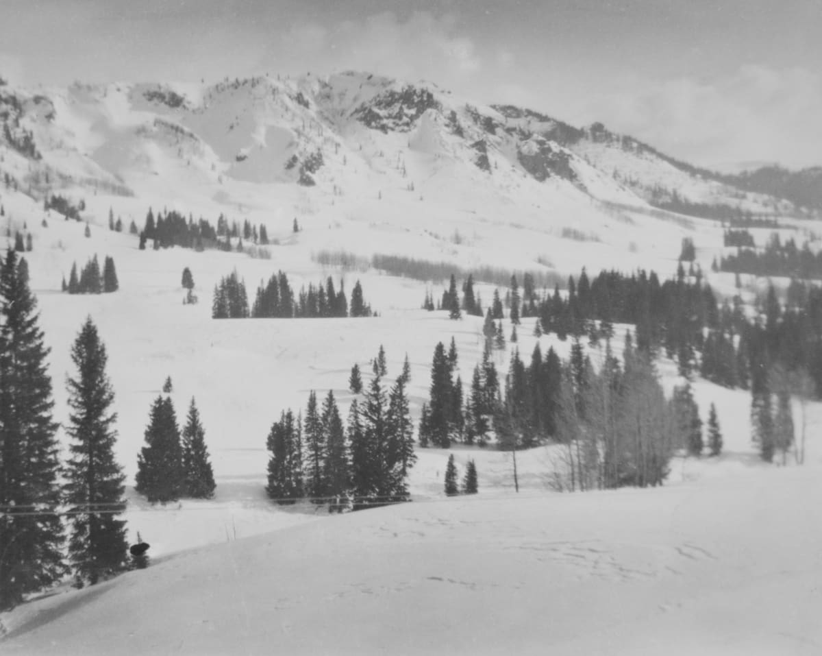 Trees, Squads and Company by R. Ewing Stiffler, Image 2.