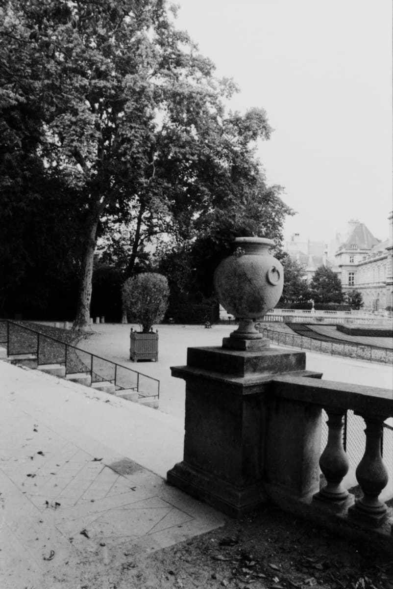 Luxembourg Garden by Christopher Rauschenberg 