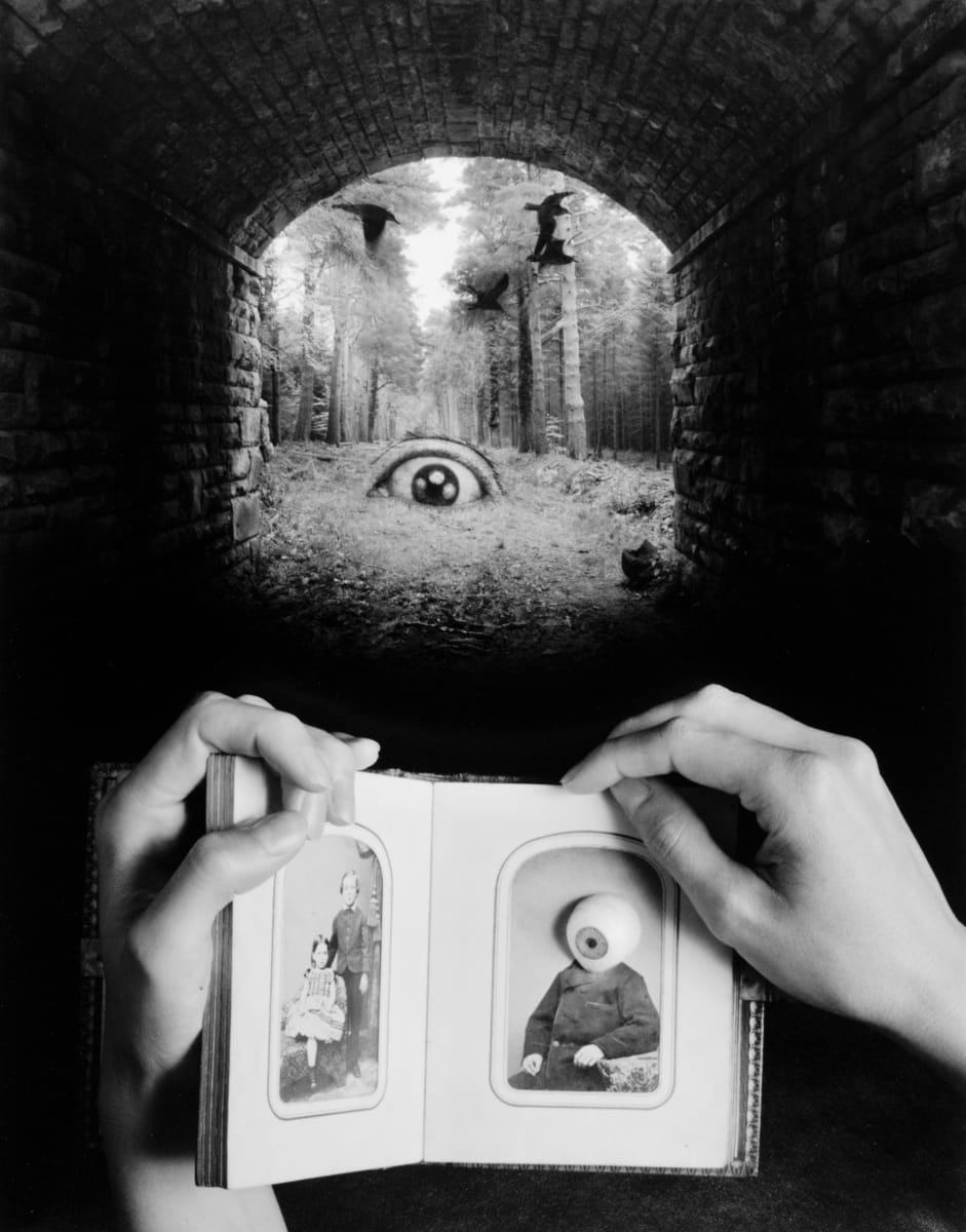 Memories of Max Ernst by Jerry N. Uelsmann, Image 1.