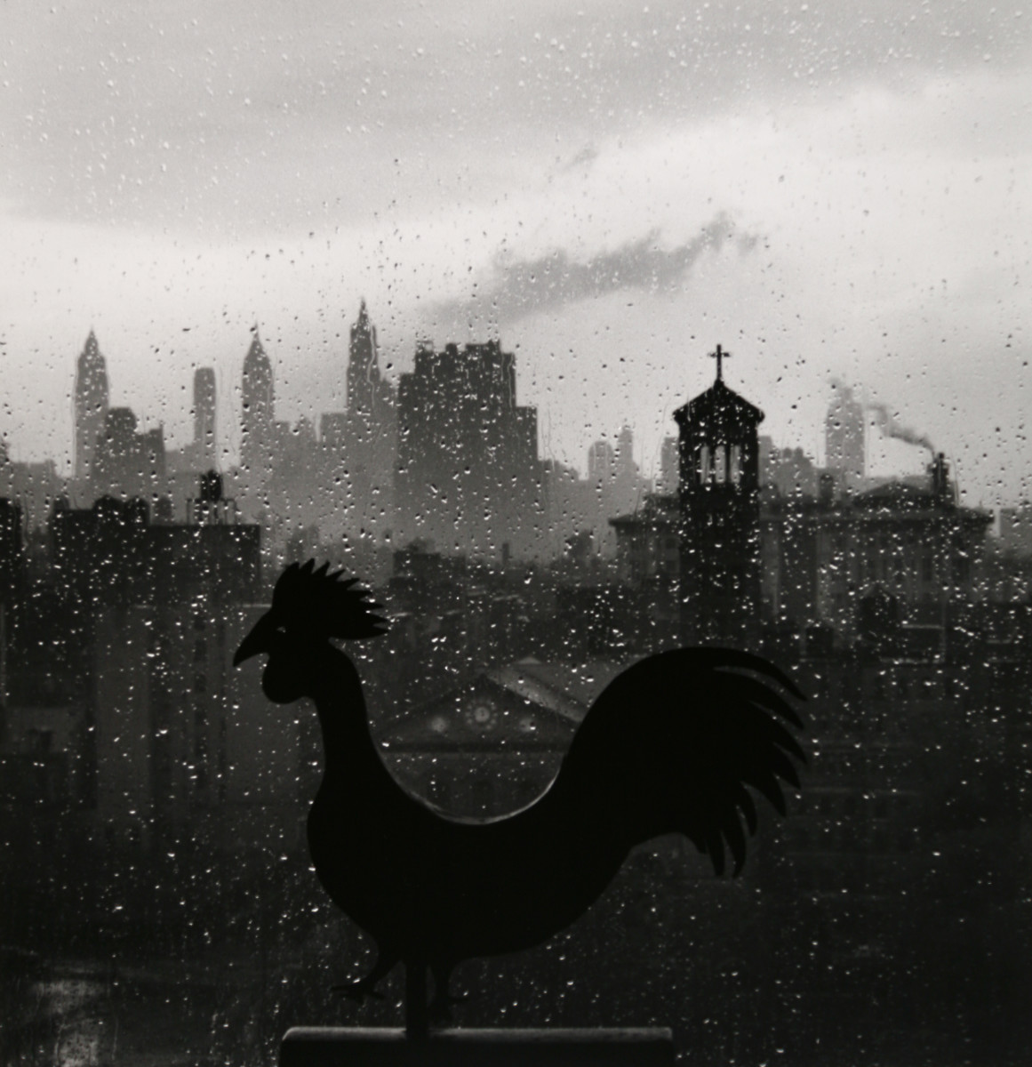 Rooster 1952 by André Kertész 