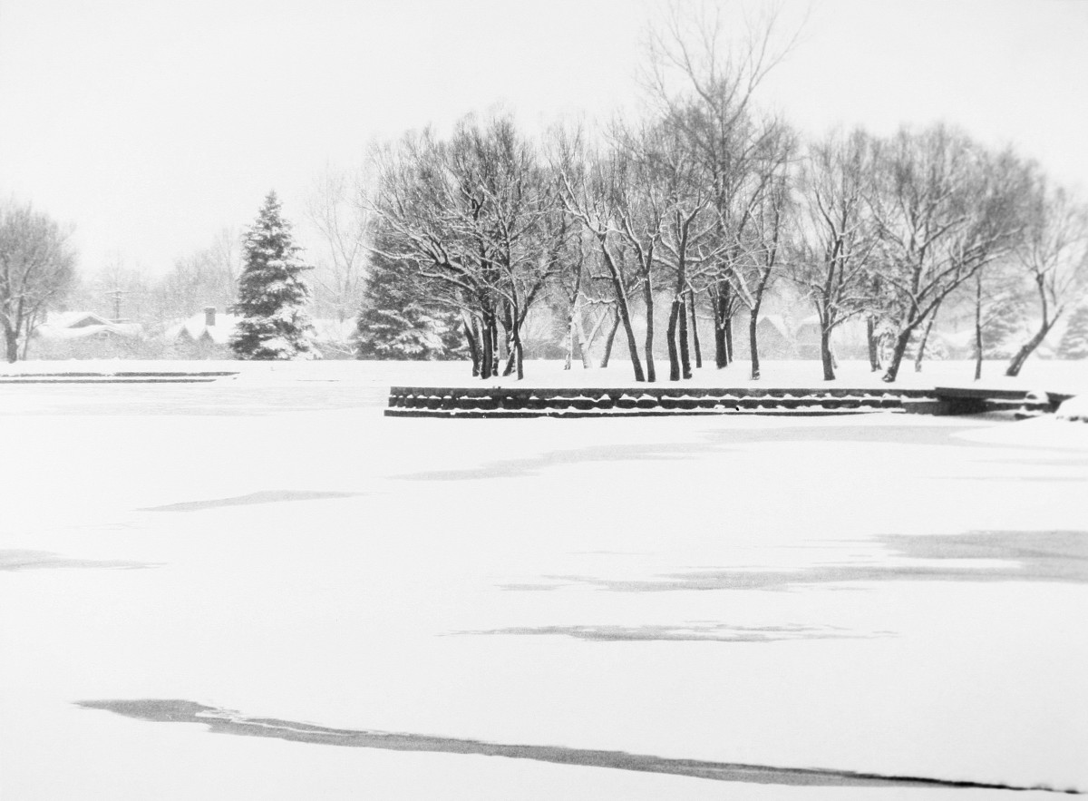 Winter Scene #185 by Winter Prather 