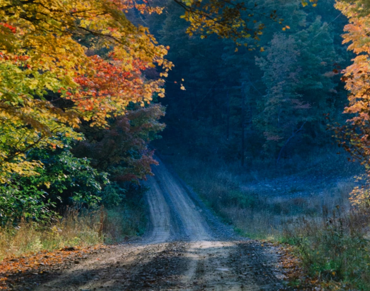 Road to Winter by Ira Current, Image 2.