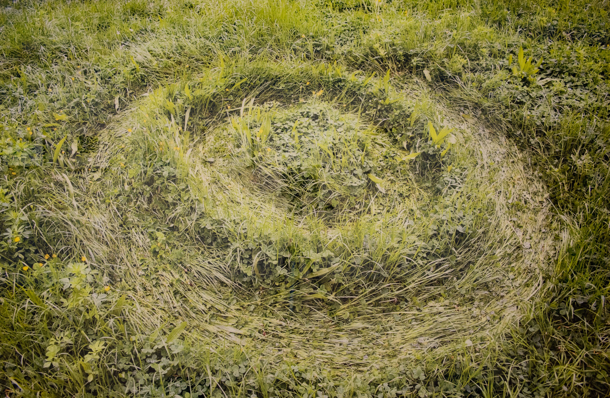 Energy Trace VI, 28 Calorie Spiral by Jesús Jiménez 