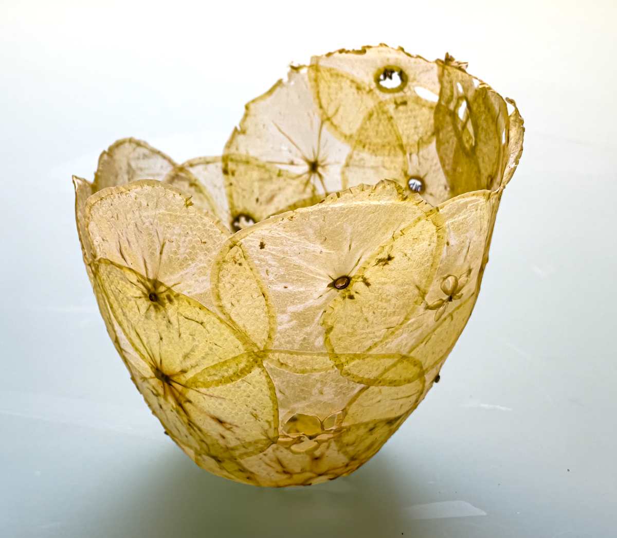 Apple vessel by Annette Holtkamp 