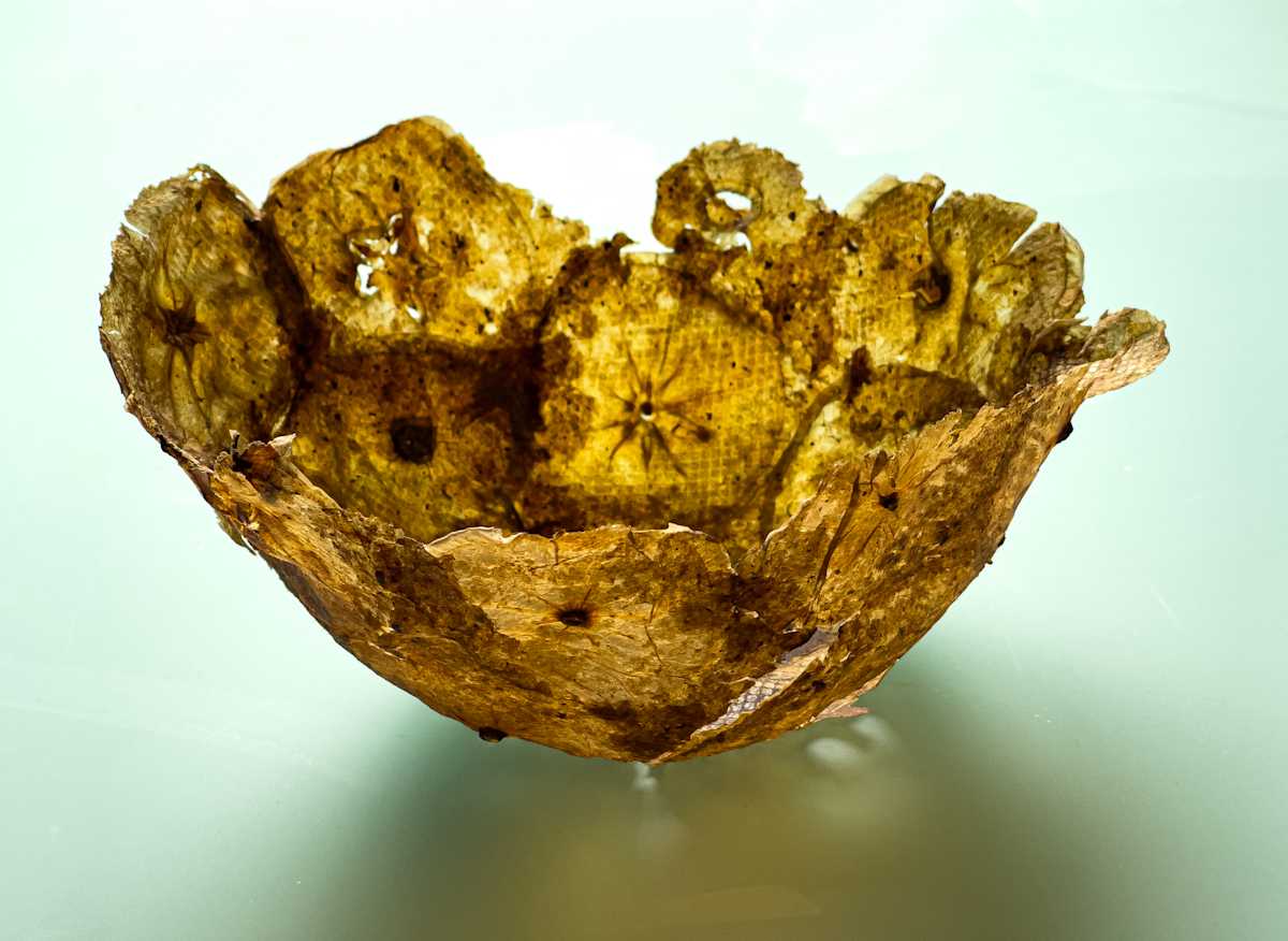 Apple mushroom vessel by Annette Holtkamp 