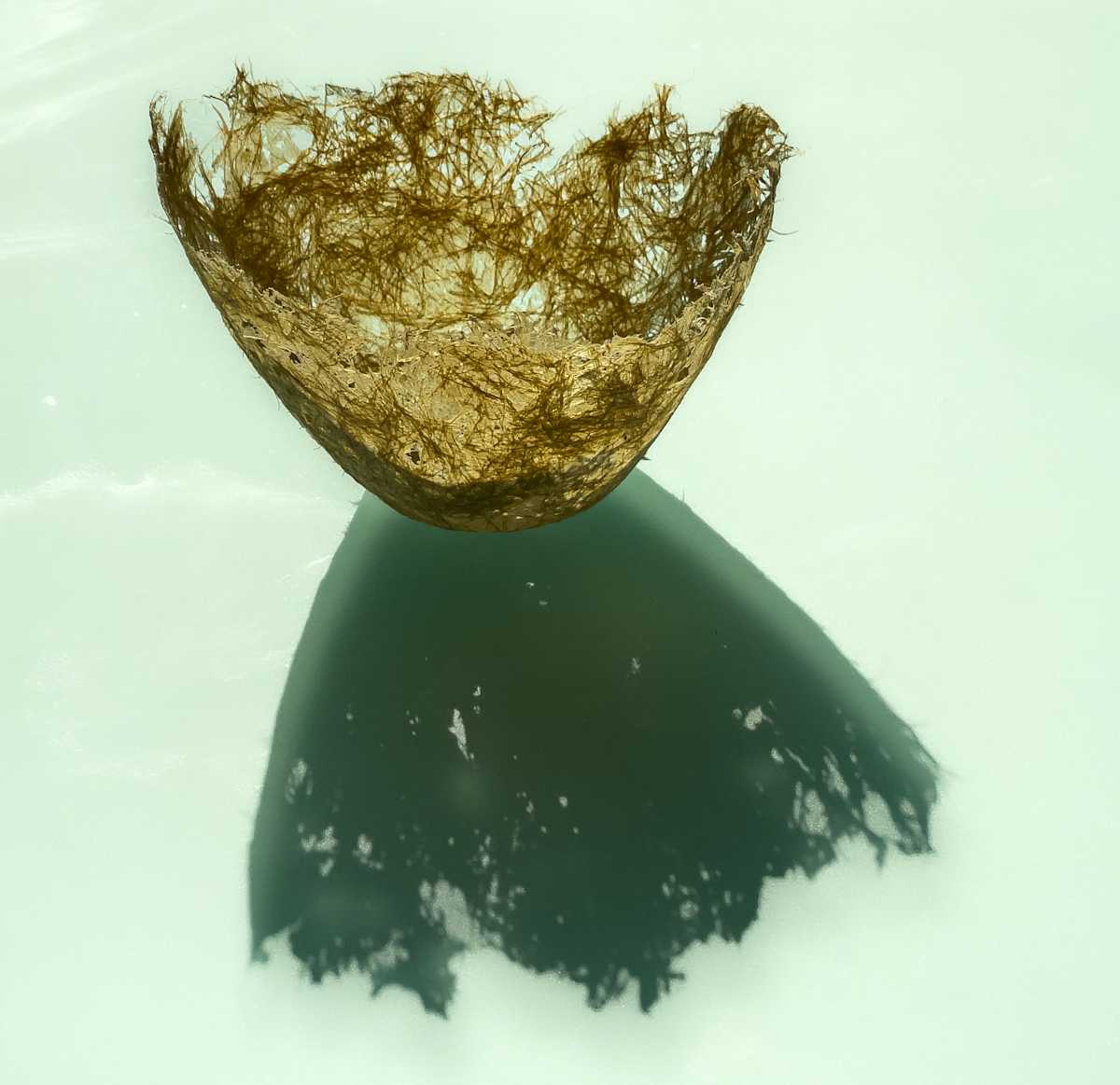 Peapod vessel by Annette Holtkamp 