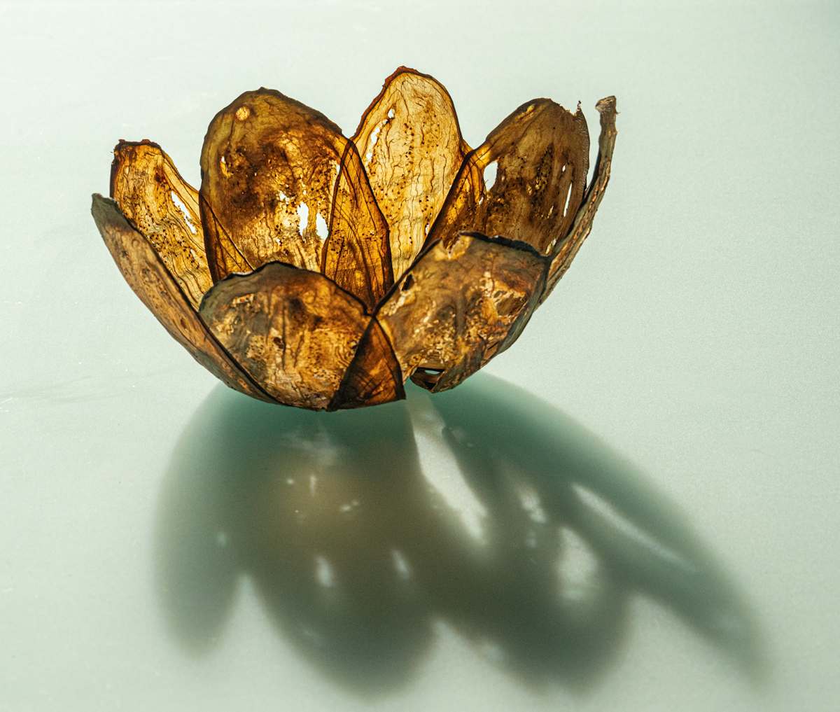 Aubergine vessel by Annette Holtkamp 