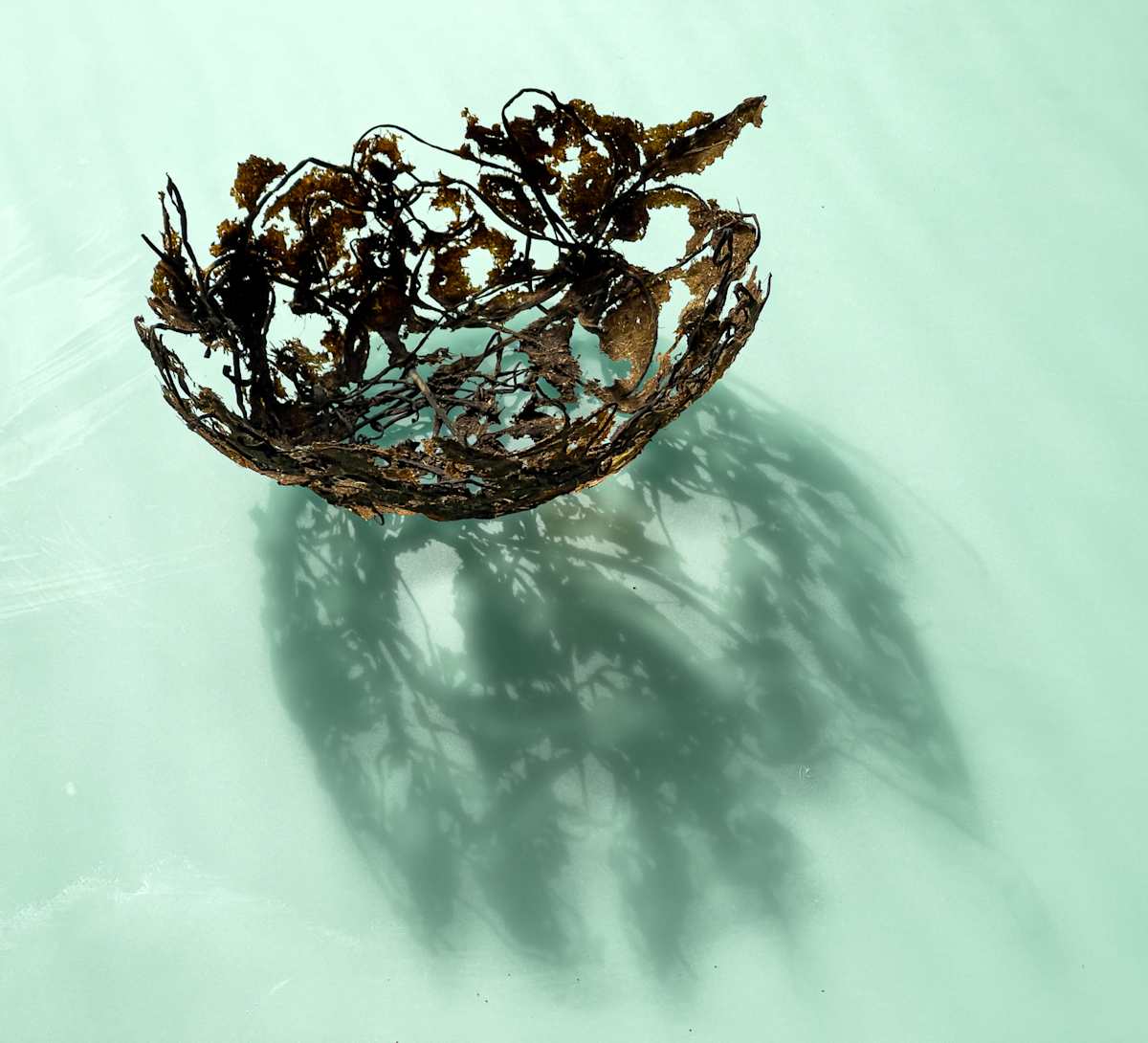 Banana vessel by Annette Holtkamp, Image 2.