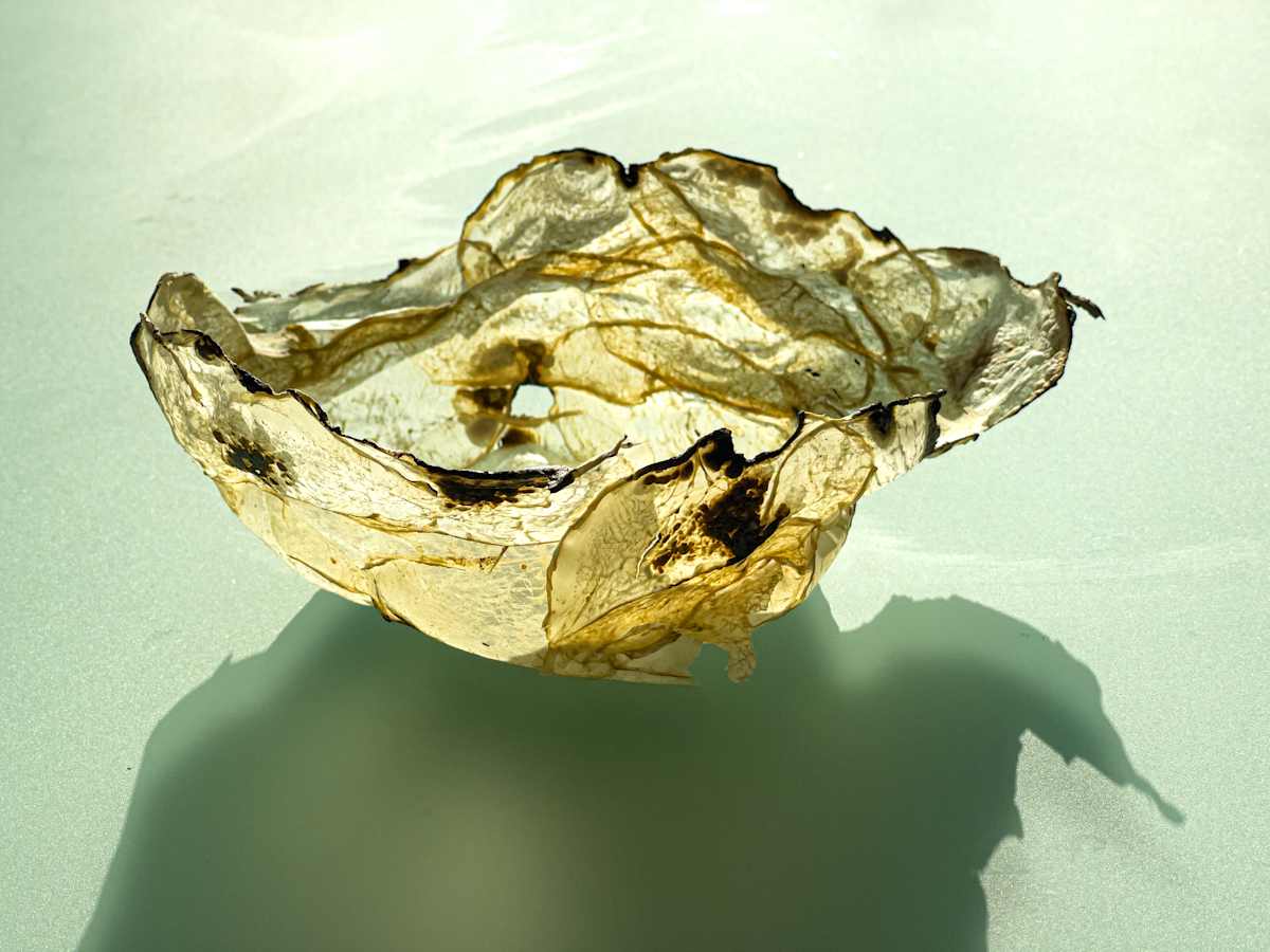 Burned kohlrabi vessel by Annette Holtkamp 