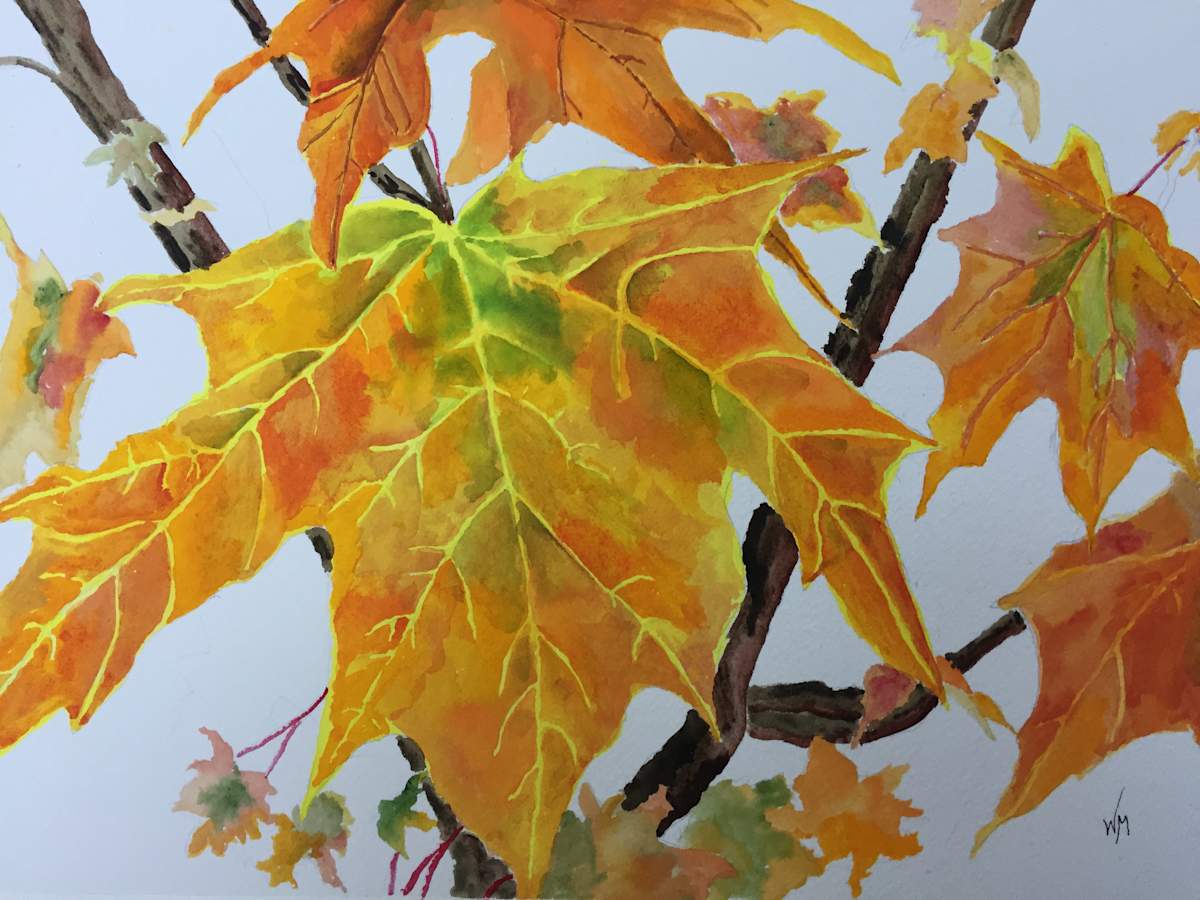 Fall in Rochester, NY by Wendy Marshall 