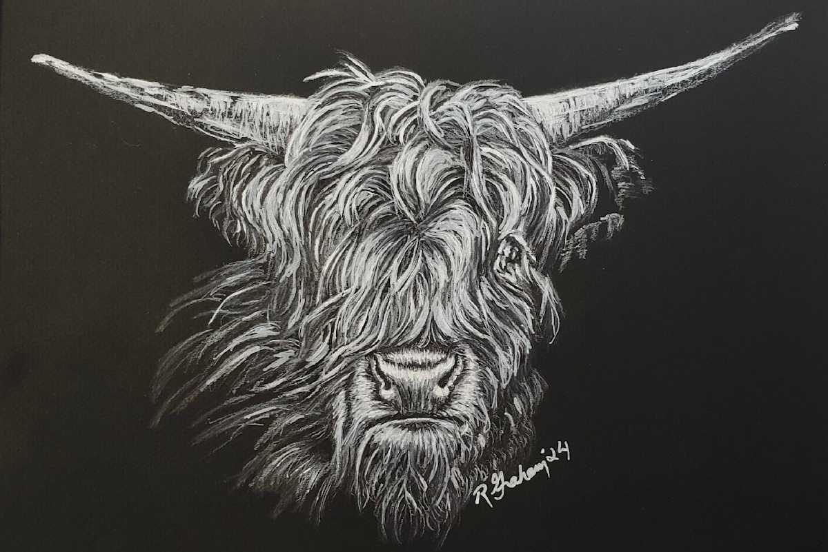 Cow by Rebecca e, Image 1.