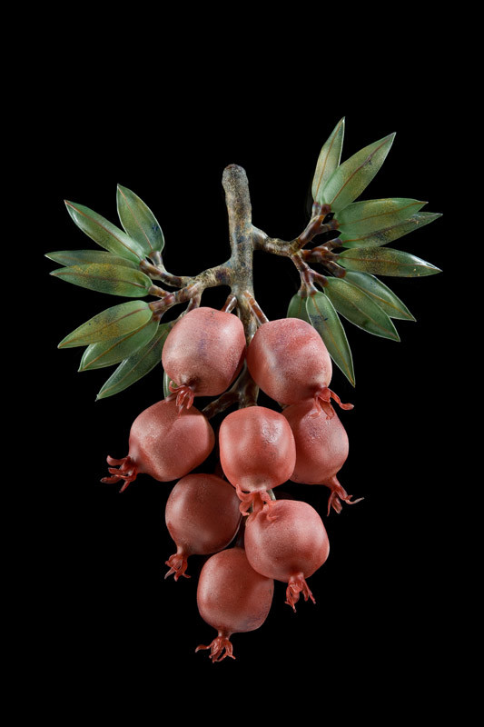 Pomegranate Cluster by Kathleen Elliot 