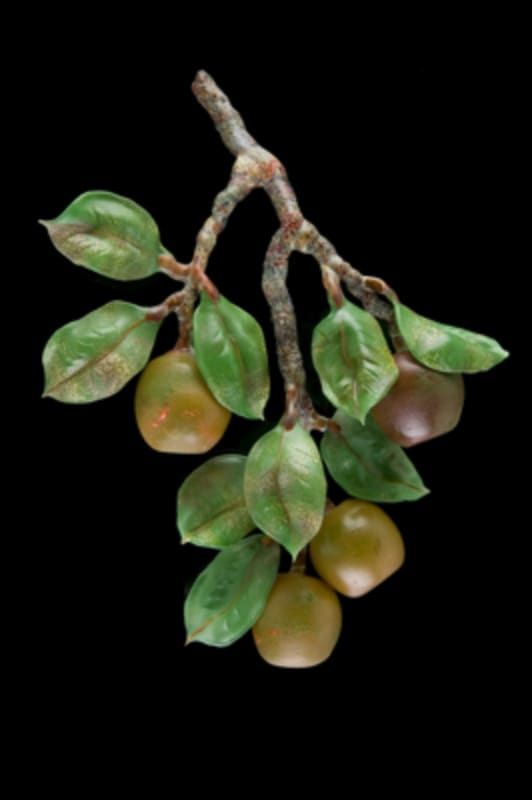 Apples by Kathleen Elliot, Image 1.