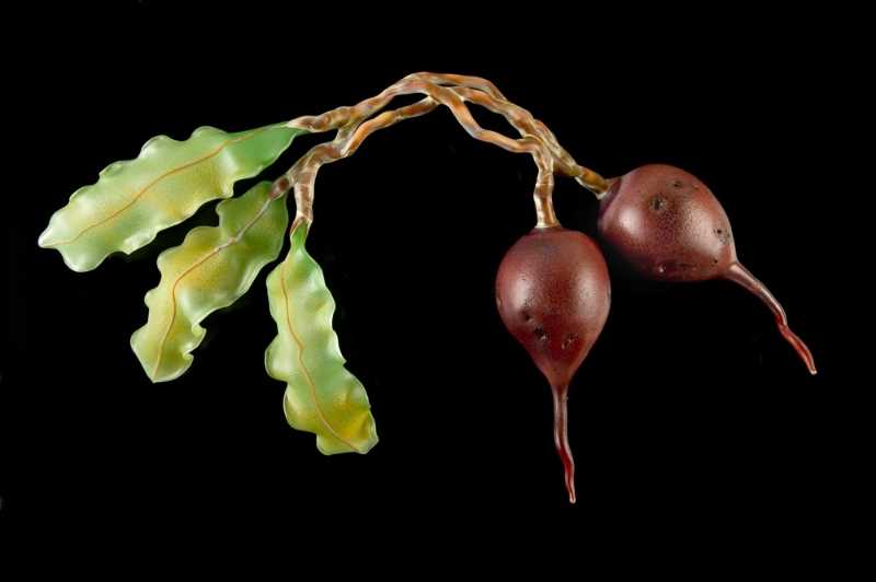 Red Beets by Kathleen Elliot, Image 1.