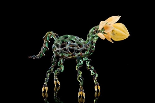 When Plants and Animals Merge, Yellow Toes by Kathleen Elliot 